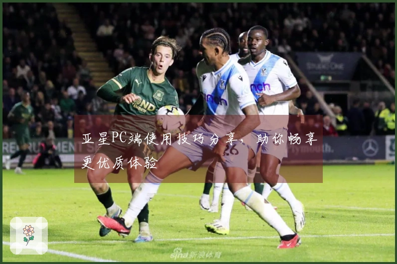 亚星PC端使用技巧分享，助你畅享更优质体验